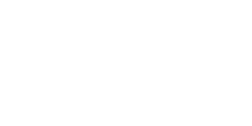 Logo-askoll